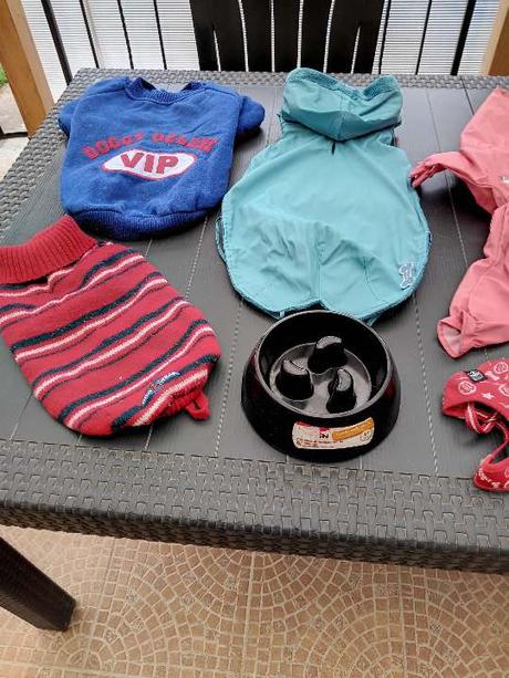 Oblečky aj iné veci na psíka,