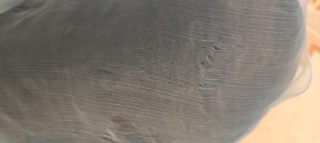 Svetlučkomodrá šatka,