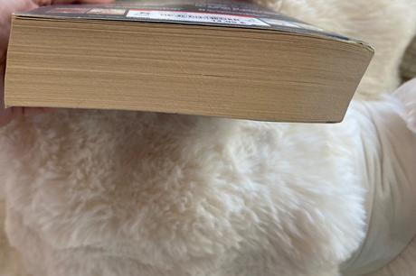 Kniha michael connely the waiting, 