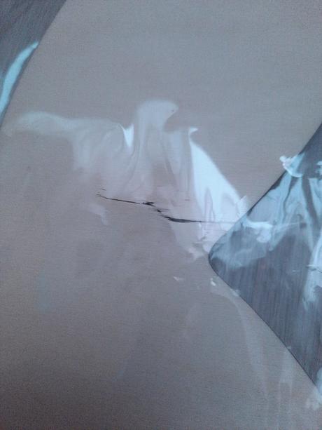 Nové zrkadlo zajačik, 