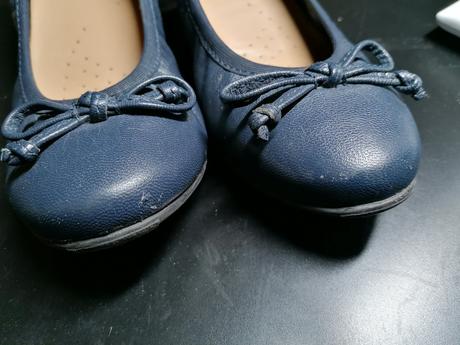 Baleriny modré, lasocki,31