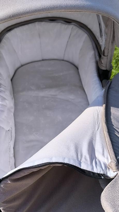 Kočík camarelo previo, camarelo,camarelo previo