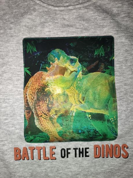 Mikina s dinosaurom, h&m,110