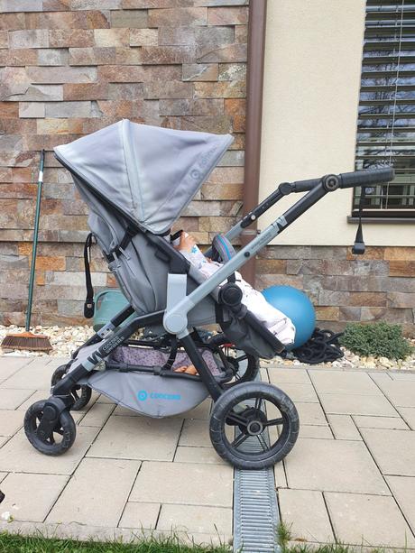 Concord wanderer, concord,concord wanderer