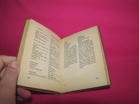 Angličtina do vrecka malý formát, 