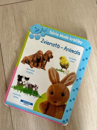 Anglicko slovenska knizka,