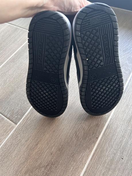 Topánky geox, geox,31