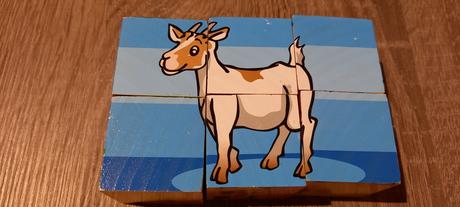 Obrázkové kocky eichhorn, 