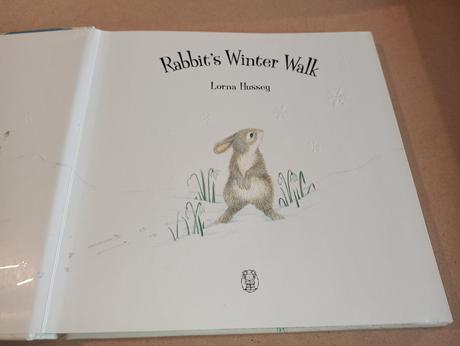 Rabbit's winter walk,