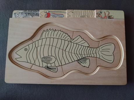 Viacvrstvové drevené anatomické puzzle ryba, 
