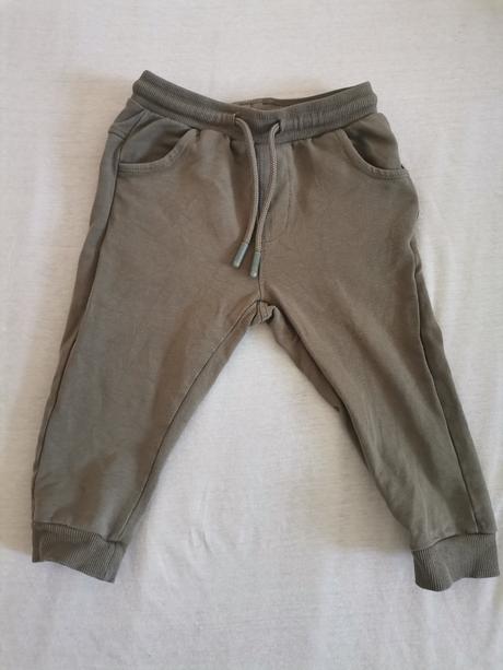 Teplaky coccodrillo, coccodrillo,80