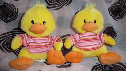 Súrodenci kačky s melodiou, 