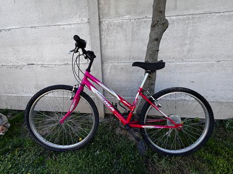 Dema bicykel, dema,26