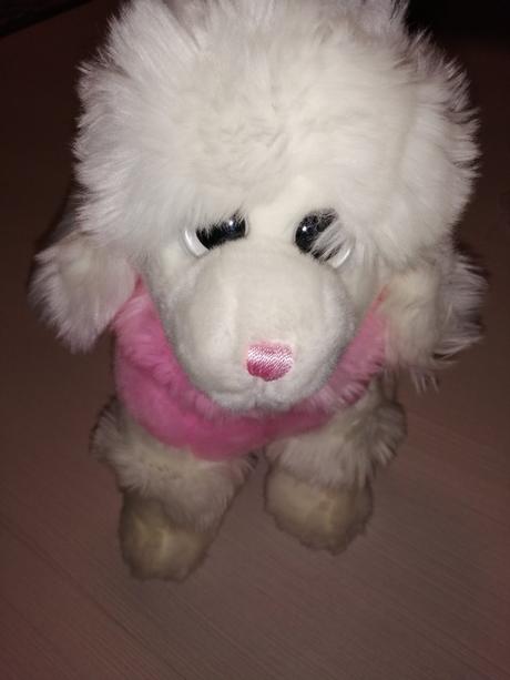 Biely pudlik v ružovom,