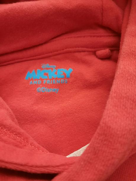 Dievčenská mikina, disney,104