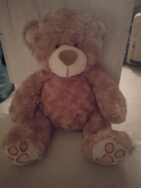 Plyšový medvedík, 