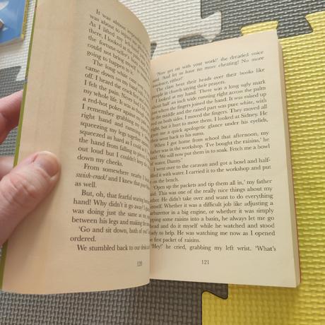 Ronald dahl danny the champion of the world,