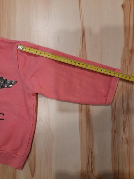 Mikina so psikom, pepco,98