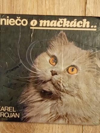 Niečo o mačkách ô, 