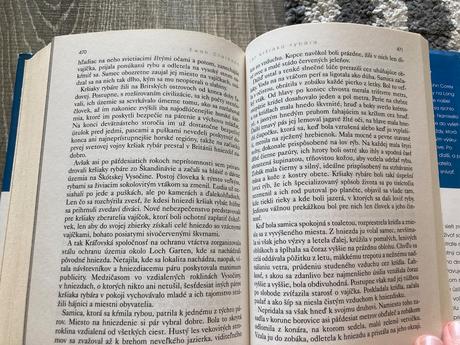 Čiesi dieťa, tretie dvojča, let kršiaka rybára...,