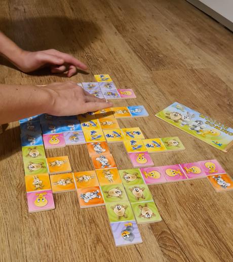 Drevene domino tweety, 