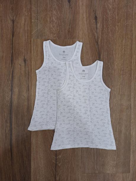 2x tielka slovenka 104, slovenka,104