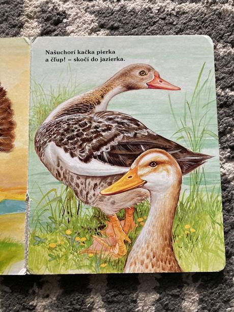 Moje najmilšie zvieratká na dvore (leporelo),