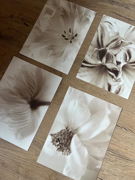 Fotky do rámu ikea,