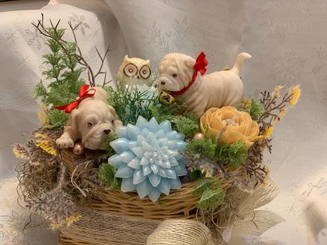 Detska mydlova kytica, 