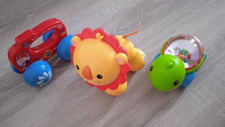 Fp korytnacka a levik,