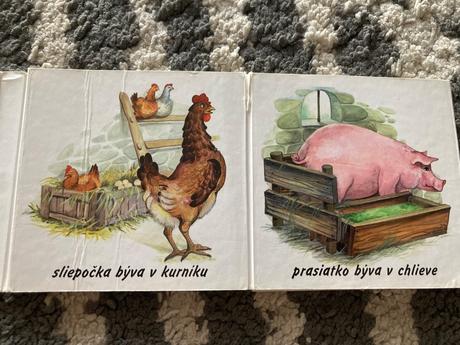 Kde bývajú zvieratká a zoo / leporelá,