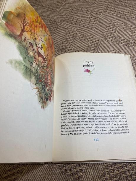 Krásna stará retro kniha parožtekovci rudo moric,