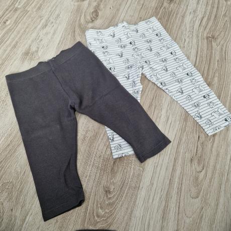 Teplakova suprava, disney,74