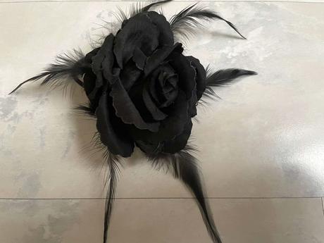 Zaujímavá brošňa, 