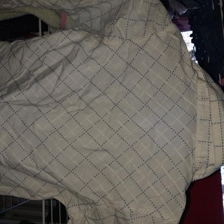 Sviatocna kosela, next,110