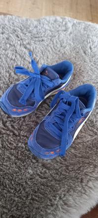 Botasky, puma,31