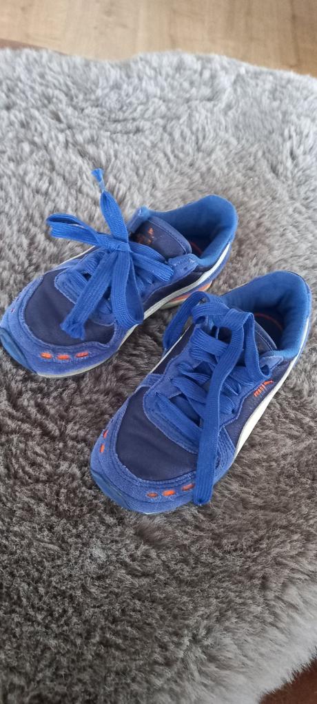Botasky, puma,31