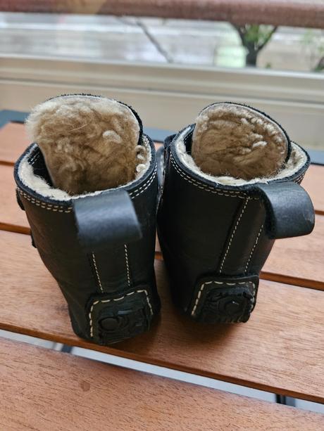 Bf zeazoo 21-22, zeazoo,21