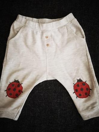 3/4 pudlaciky zara, zara,80