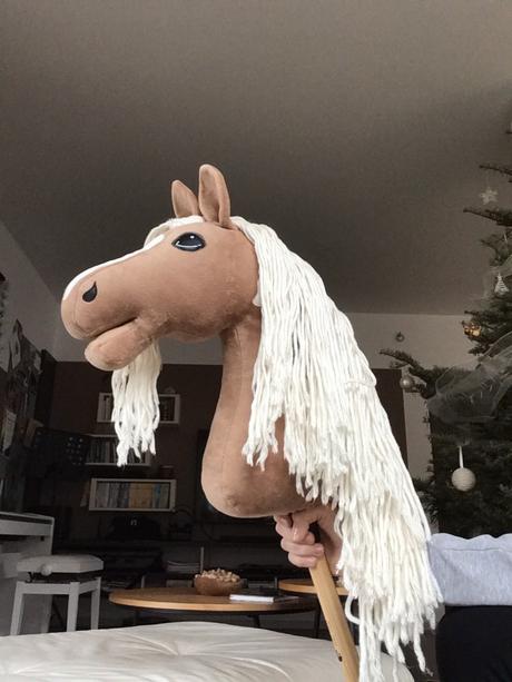 Hobby horse,