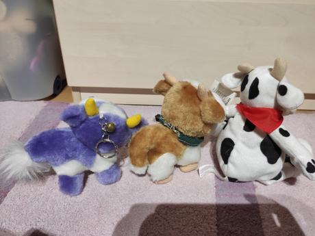 Kravička čiernobiela, 