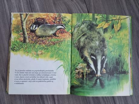 Najkrajšia kniha o zvieratkách,