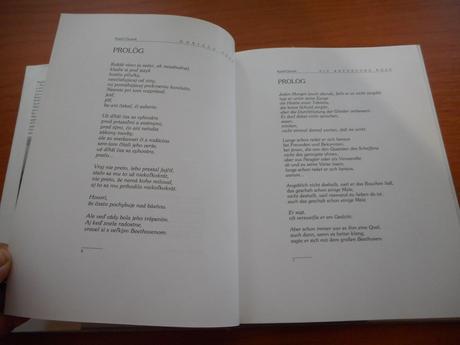 Horiaca ruža, rudolf čižmárik,