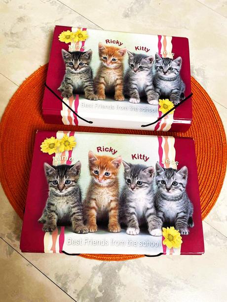 Školské dosky kitty / 3 ks, 