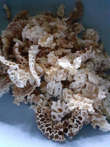 Propolisovo zivicova mast, 