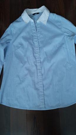 Košela, f&f,40