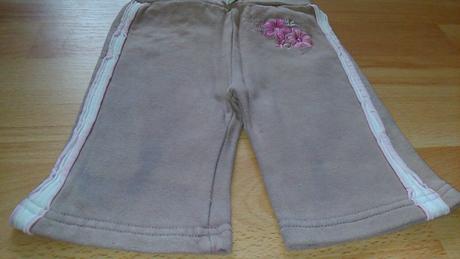 Teplaciky, st. bernard,68