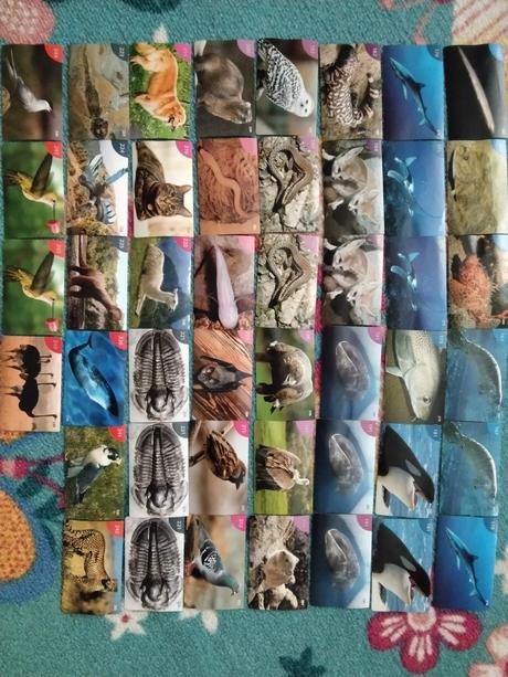 Nálepky animal kingdom kraš staré, 