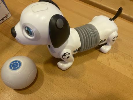 Robotický psík, 