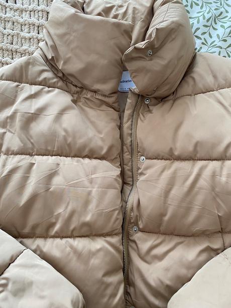 Bundicka stradivarius, stradivarius,s